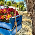 Tatil Evi Delle Ginestre Ostuni