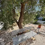 Delle Ginestre