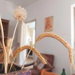 Tatil Evi Delle Ginestre *