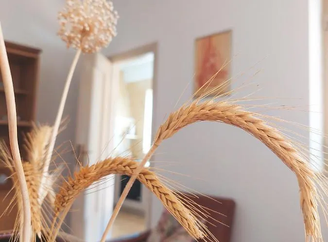 펜션 Delle Ginestre *