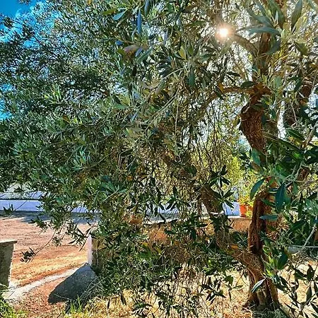 Semesterbostad Delle Ginestre Ostuni