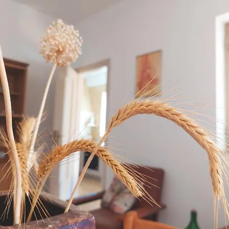 Ferienhaus Delle Ginestre *