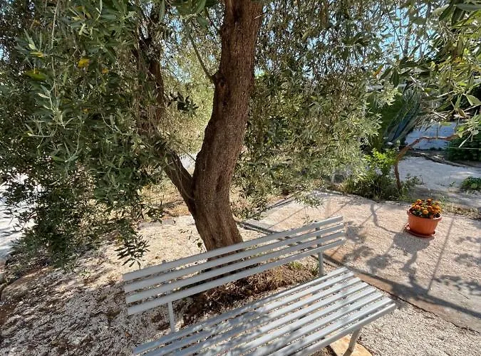 Delle Ginestre